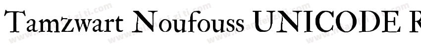 Tamzwart Noufouss UNICODE Regular字体转换